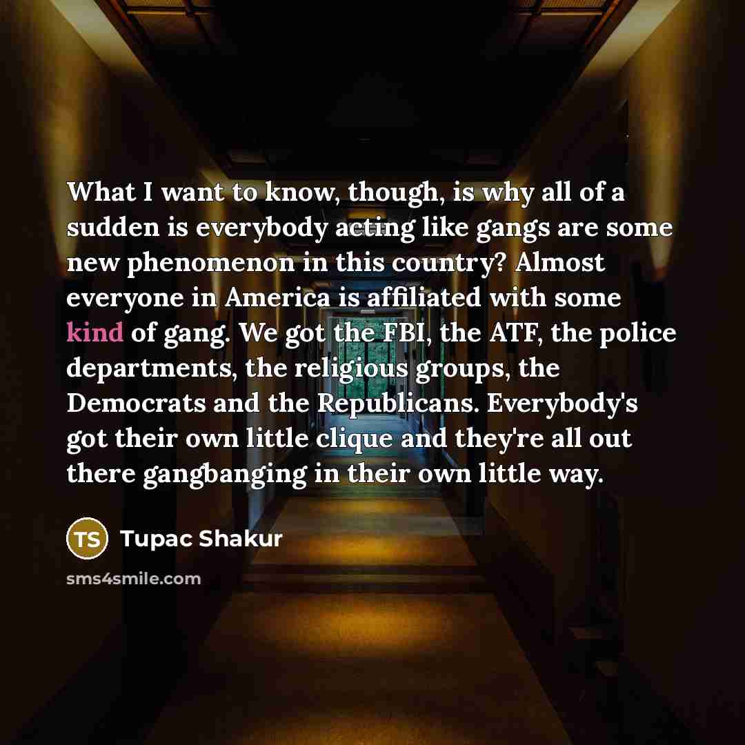 “What I want to know, though, is why all of a sudden is everybody acting like gangs are some new phenomenon in this country? Almost everyone in America is affiliated with some kind of gang. We got the FBI, the ATF, the police departments, the religious groups, the Democrats and the Republicans…” quote by Tupac Shakur