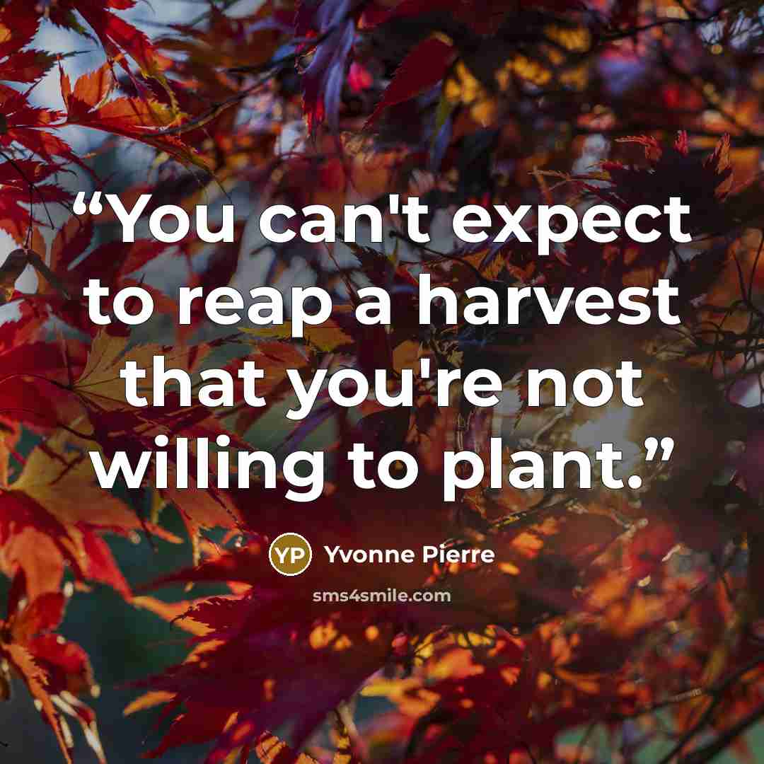 “You can't expect to reap a harvest that you're not willing to plant.” quote by Yvonne Pierre