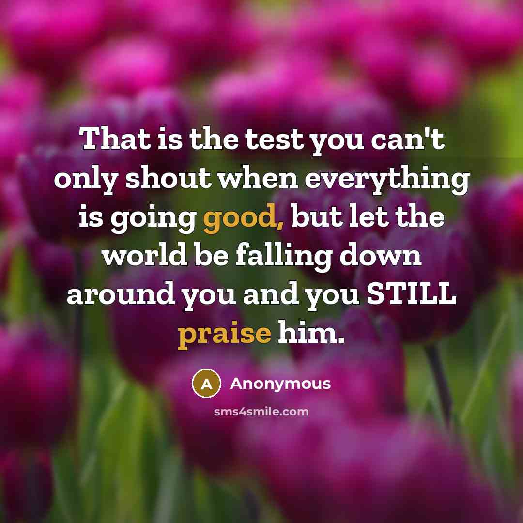 “That is the test you can't only shout when everything is going good, but let the world be falling down around you and you STILL praise him.” quote by Anonymous