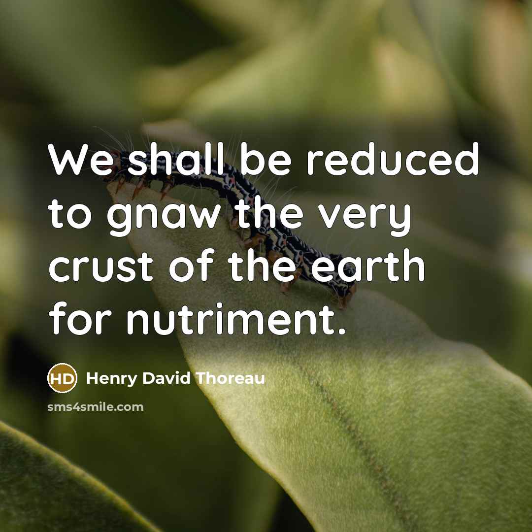 “We shall be reduced to gnaw the very crust of the earth for nutriment.” quote by Henry David Thoreau