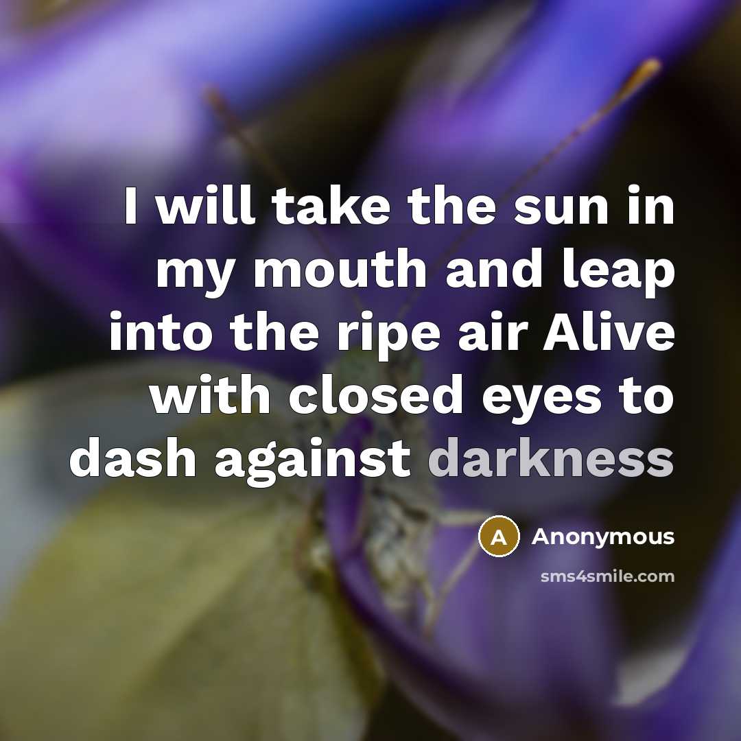 “I will take the sun in my mouth and leap into the ripe air Alive with closed eyes to dash against darkness” quote by Anonymous