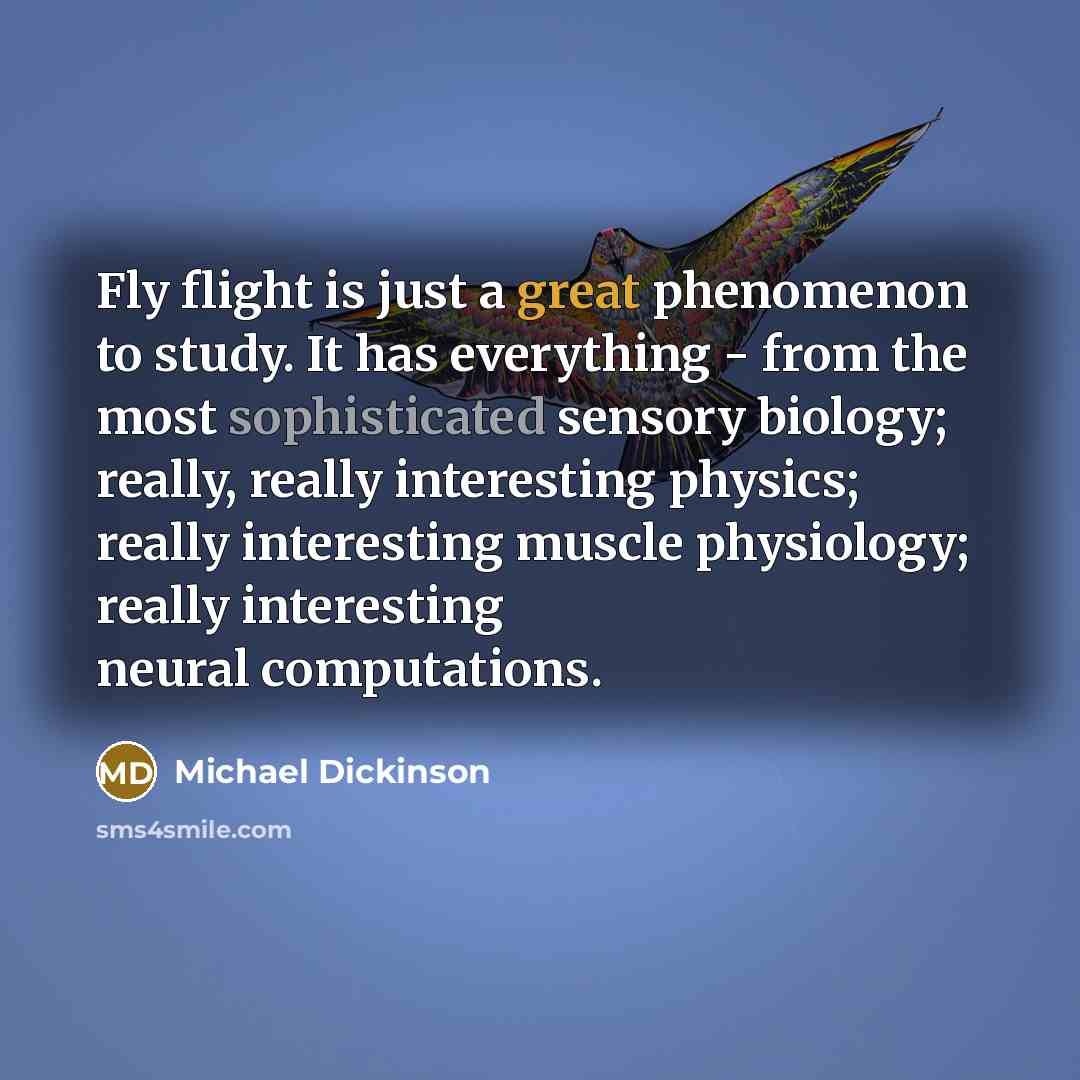 “Fly flight is just a great phenomenon to study. It has everything - from the most sophisticated sensory biology; really, really interesting physics; really interesting muscle physiology; really interesting neural computations.” quote by Michael Dickinson