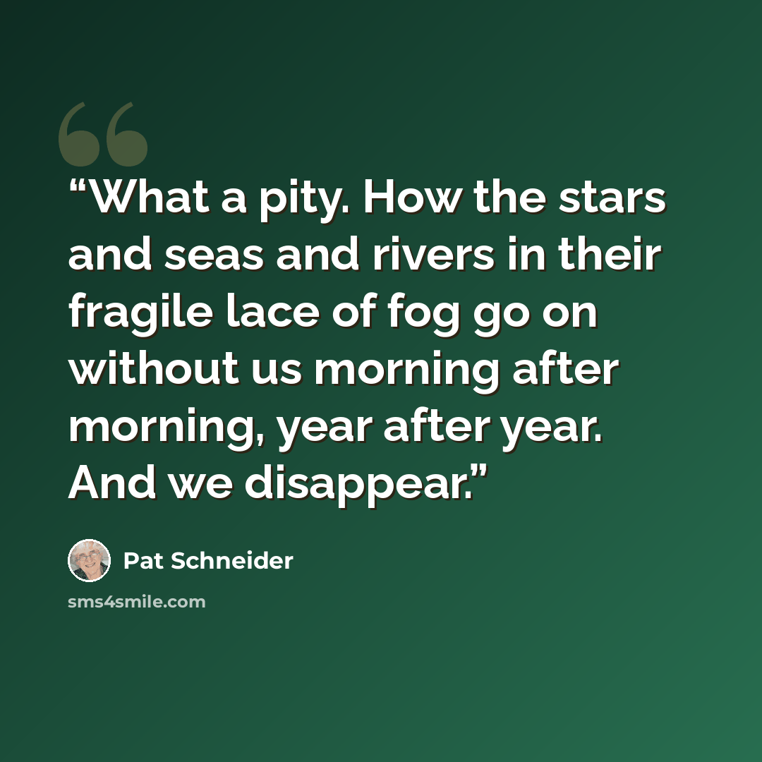 “What a pity. How the stars and seas and rivers in their fragile lace of fog go on without us morning after morning, year after year. And we disappear.” quote by Pat Schneider