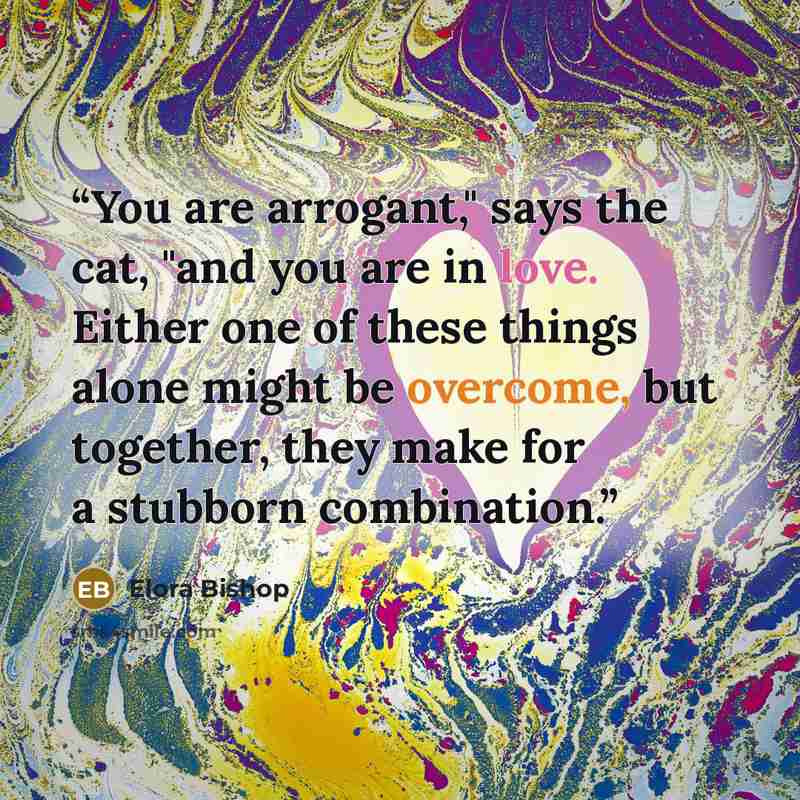 “You are arrogant," says the cat, "and you are in love. Either one of these things alone might be overcome, but together, they make for a stubborn combination.” quote by Elora Bishop