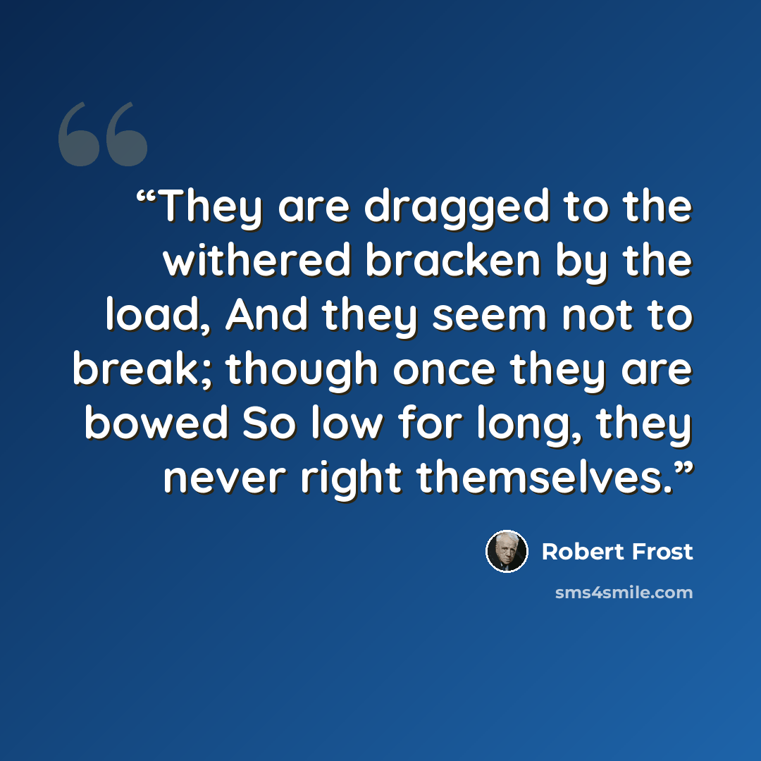 “They are dragged to the withered bracken by the load, And they seem not to break; though once they are bowed So low for long, they never right themselves.” quote by Robert Frost