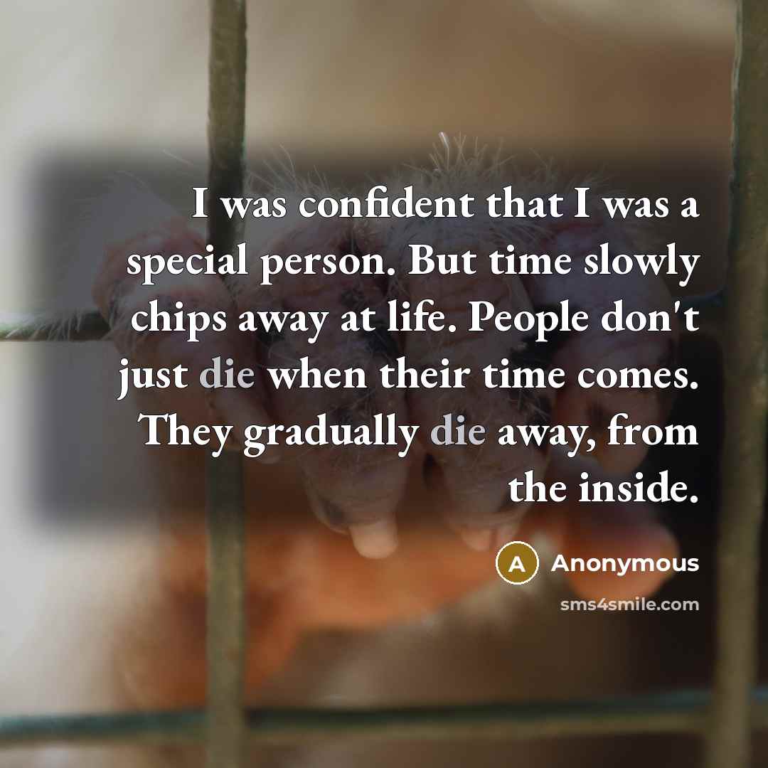 “I was confident that I was a special person. But time slowly chips away at life. People don't just die when their time comes. They gradually die away, from the inside.” quote by Anonymous