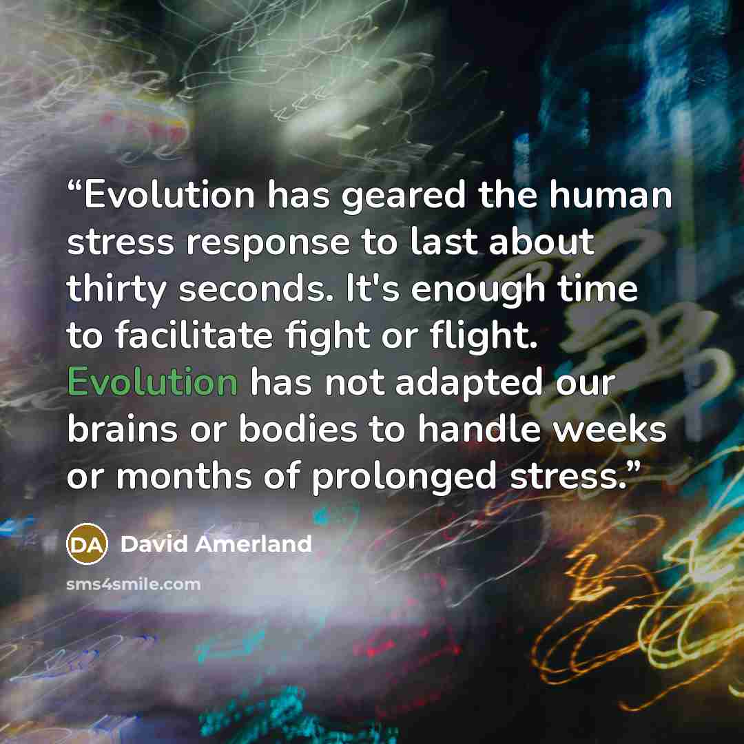 “Evolution has geared the human stress response to last about thirty seconds. It's enough time to facilitate fight or flight. Evolution has not adapted our brains or bodies to handle weeks or months of prolonged stress.” quote by David Amerland