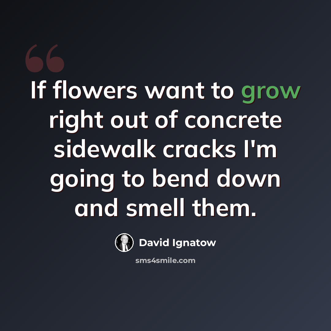 “If flowers want to grow right out of concrete sidewalk cracks I'm going to bend down and smell them.” quote by David Ignatow