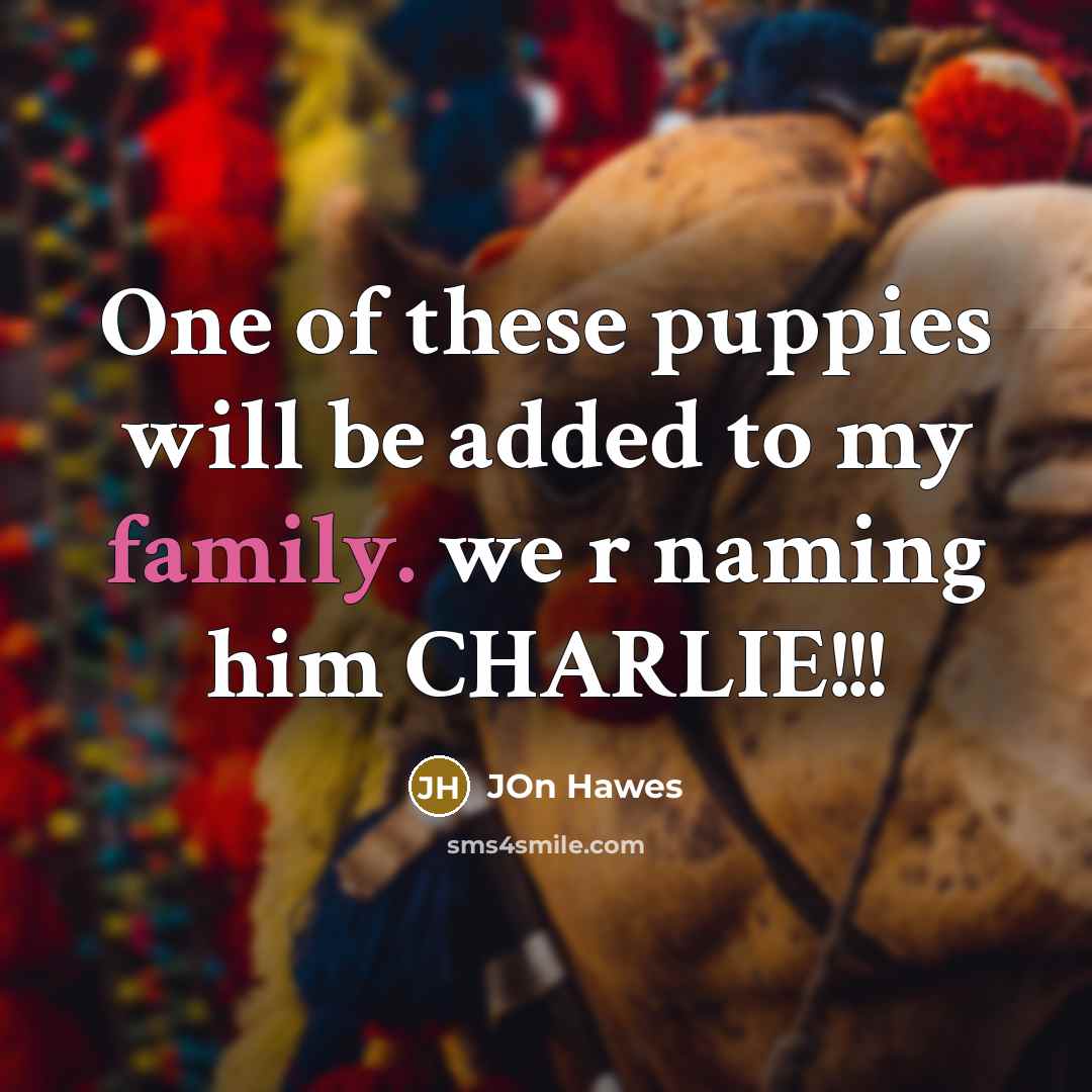 “One of these puppies will be added to my family. we r naming him CHARLIE!!!” quote by Jon Hawes