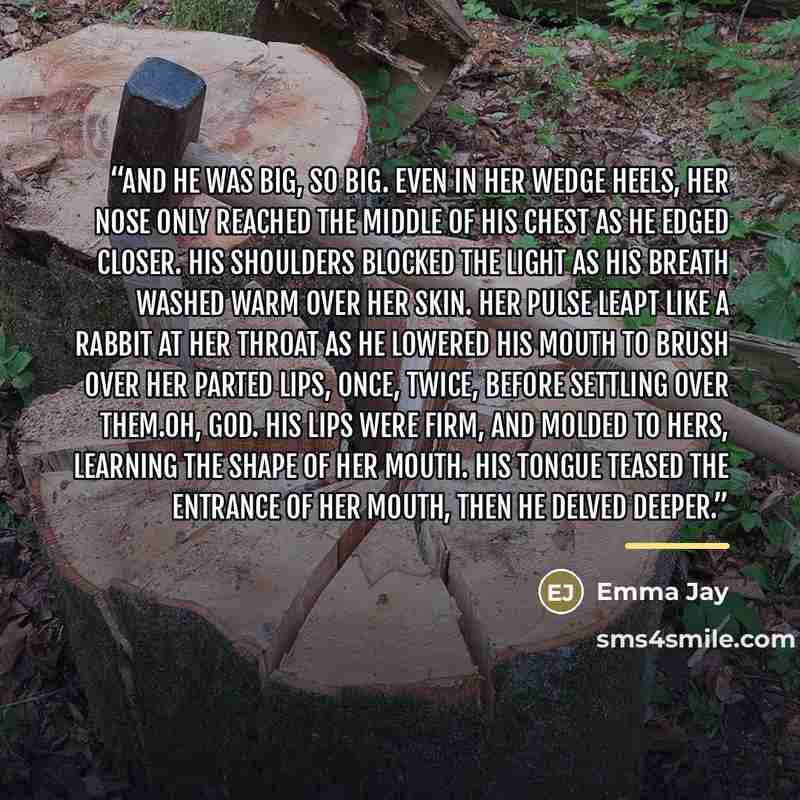 “And he was big, so big. Even in her wedge heels, her nose only reached the middle of his chest as he edged closer. His shoulders blocked the light as his breath washed warm over her skin. Her pulse leapt like a rabbit at her throat as he lowered his mouth to brush over her parted lips, once…” quote by Emma Jay