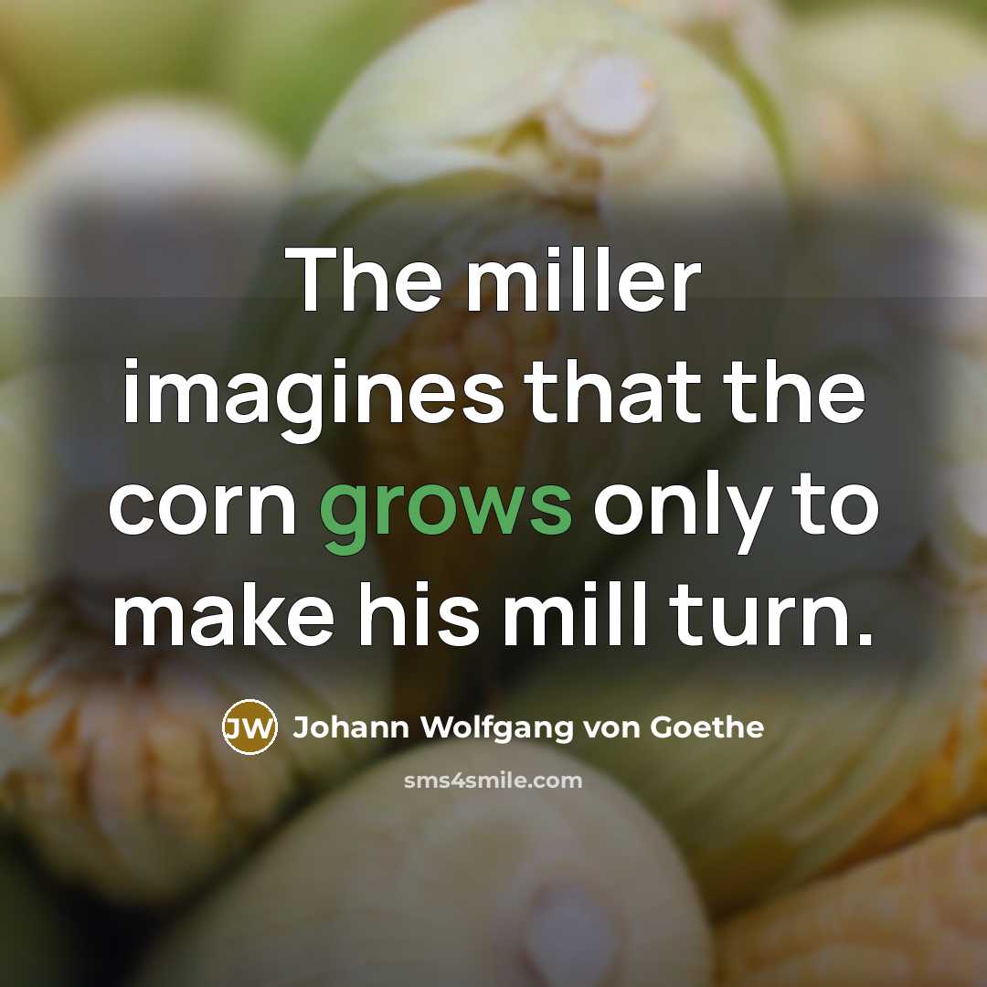 “The miller imagines that the corn grows only to make his mill turn.” quote by Johann Wolfgang von Goethe