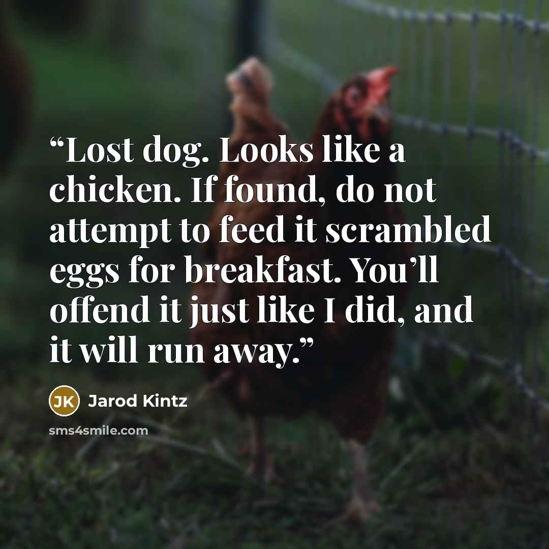 “Lost dog. Looks like a chicken. If found, do not attempt to feed it scrambled eggs for breakfast. You’ll offend it just like I did, and it will run away.” quote by Jarod Kintz