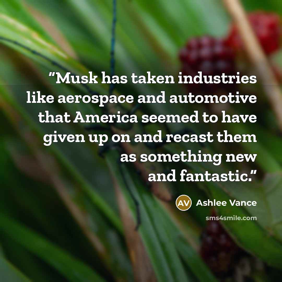 “Musk has taken industries like aerospace and automotive that America seemed to have given up on and recast them as something new and fantastic.” quote by Ashlee Vance