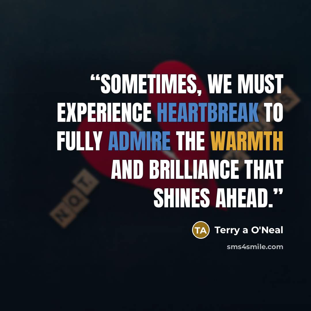 “Sometimes, we must experience heartbreak to fully admire the warmth and brilliance that shines ahead.” quote by Terry a O'Neal