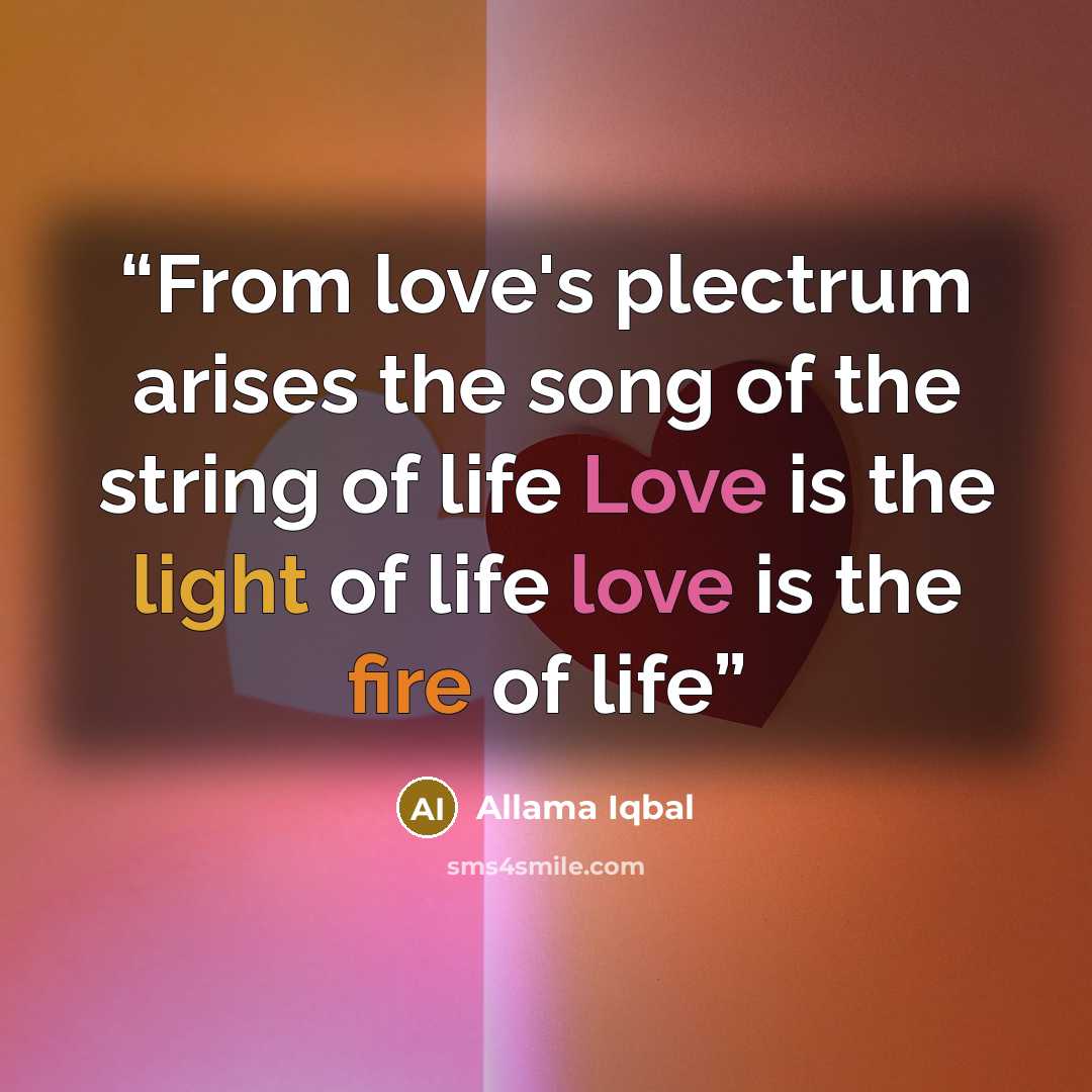 “From love's plectrum arises the song of the string of life Love is the light of life love is the fire of life” quote by Allama Iqbal