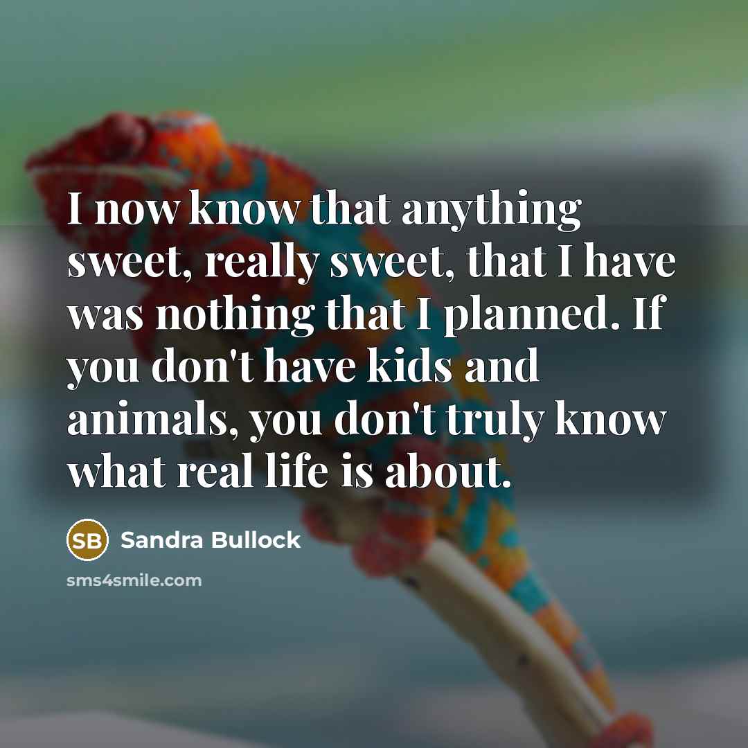 “I now know that anything sweet, really sweet, that I have was nothing that I planned. If you don't have kids and animals, you don't truly know what real life is about.” quote by Sandra Bullock