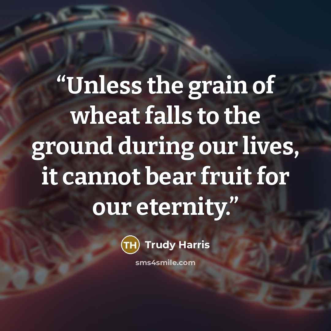 “Unless the grain of wheat falls to the ground during our lives, it cannot bear fruit for our eternity.” quote by Trudy Harris