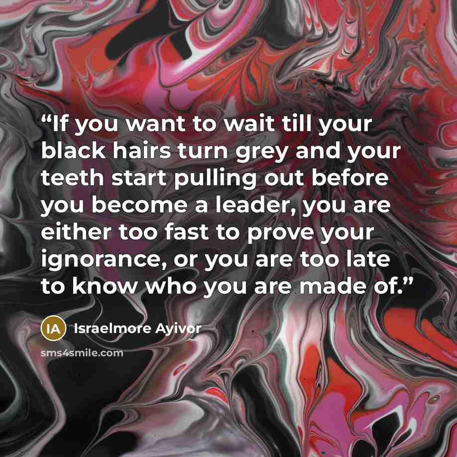 “If you want to wait till your black hairs turn grey and your teeth start pulling out before you become a leader, you are either too fast to prove your ignorance, or you are too late to know who you are made of.” quote by Israelmore Ayivor