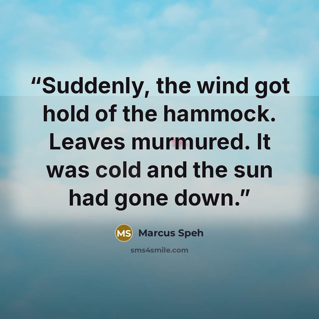 “Suddenly, the wind got hold of the hammock. Leaves murmured. It was cold and the sun had gone down.” quote by Marcus Speh