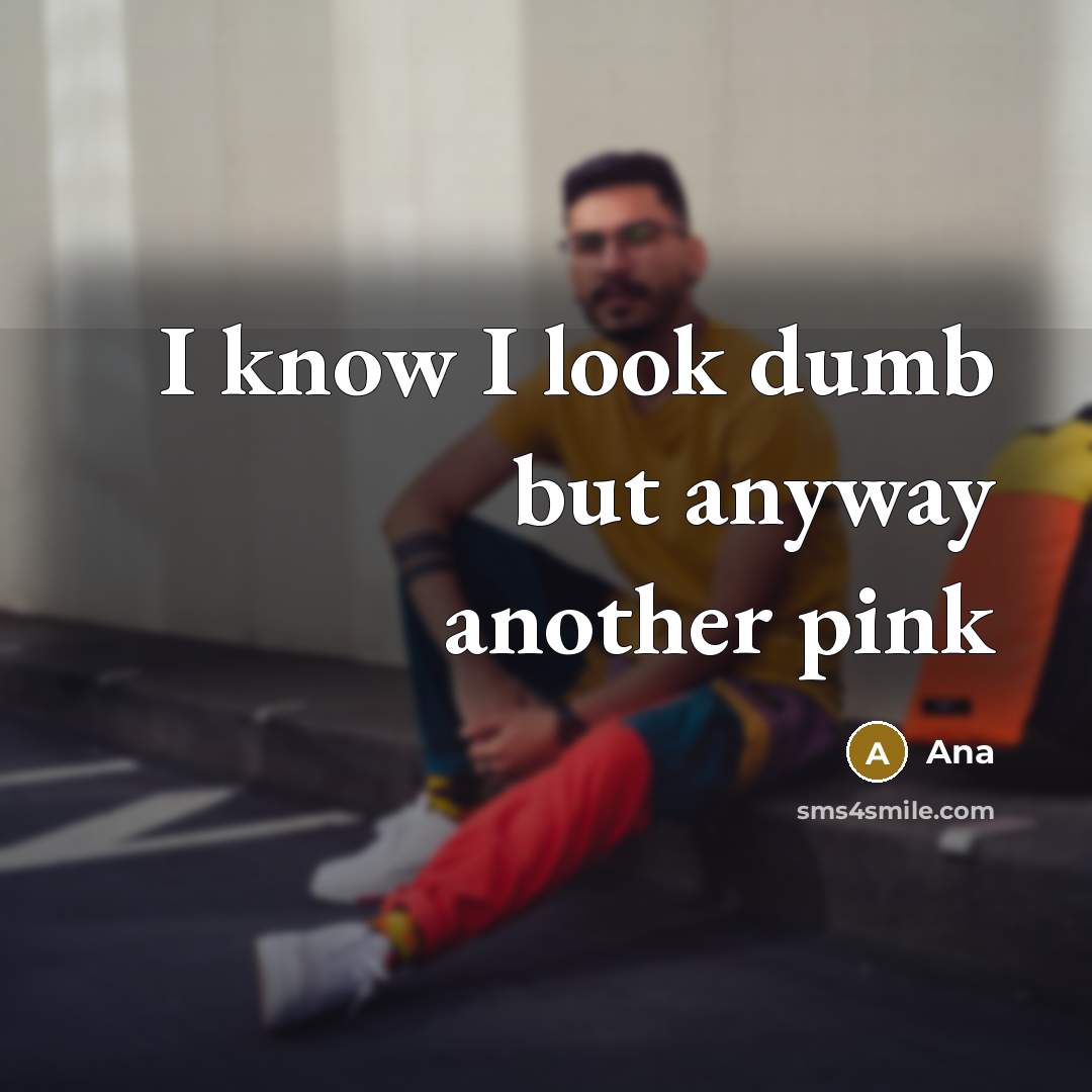 “I know I look dumb but anyway another pink” quote by Ana