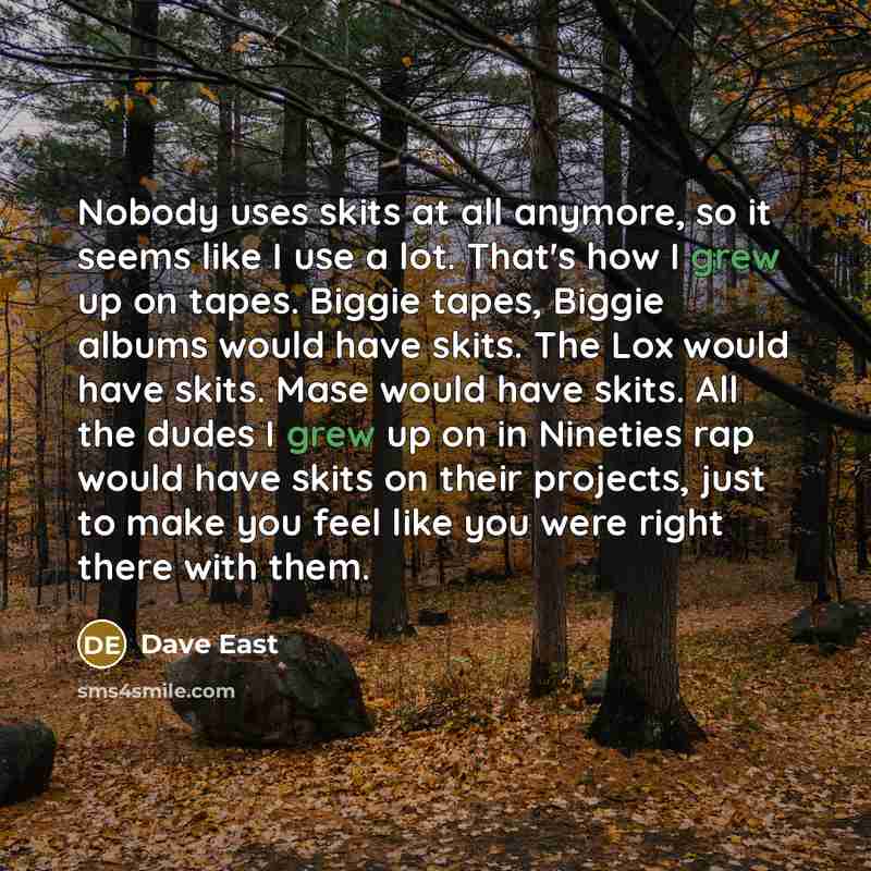“Nobody uses skits at all anymore, so it seems like I use a lot. That's how I grew up on tapes. Biggie tapes, Biggie albums would have skits. The Lox would have skits. Mase would have skits. All the dudes I grew up on in Nineties rap would have skits on their projects, just to make you feel like…” quote by Dave East