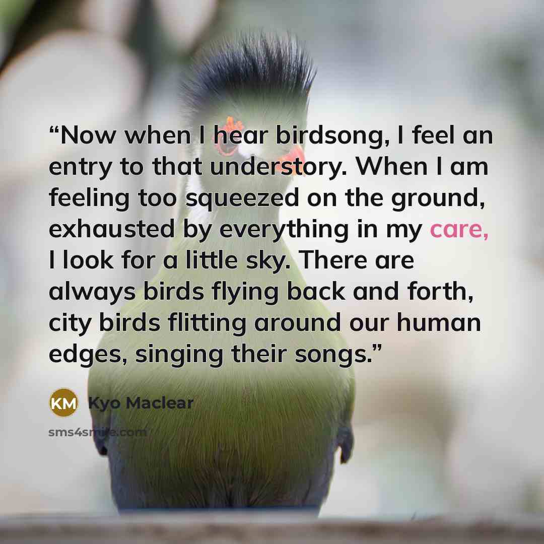“Now when I hear birdsong, I feel an entry to that understory. When I am feeling too squeezed on the ground, exhausted by everything in my care, I look for a little sky. There are always birds flying back and forth, city birds flitting around our human edges, singing their songs.” quote by Kyo Maclear