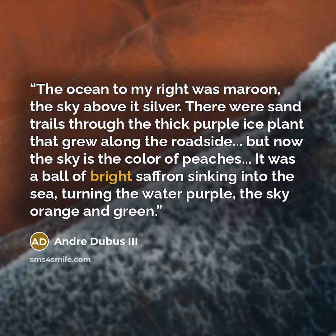 “The ocean to my right was maroon, the sky above it silver. There were sand trails through the thick purple ice plant that grew along the roadside... but now the sky is the color of peaches... It was a ball of bright saffron sinking into the sea, turning the water purple, the sky orange and green.” quote by Andre Dubus III