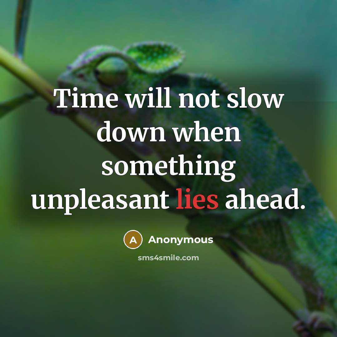 “Time will not slow down when something unpleasant lies ahead.” quote by Anonymous