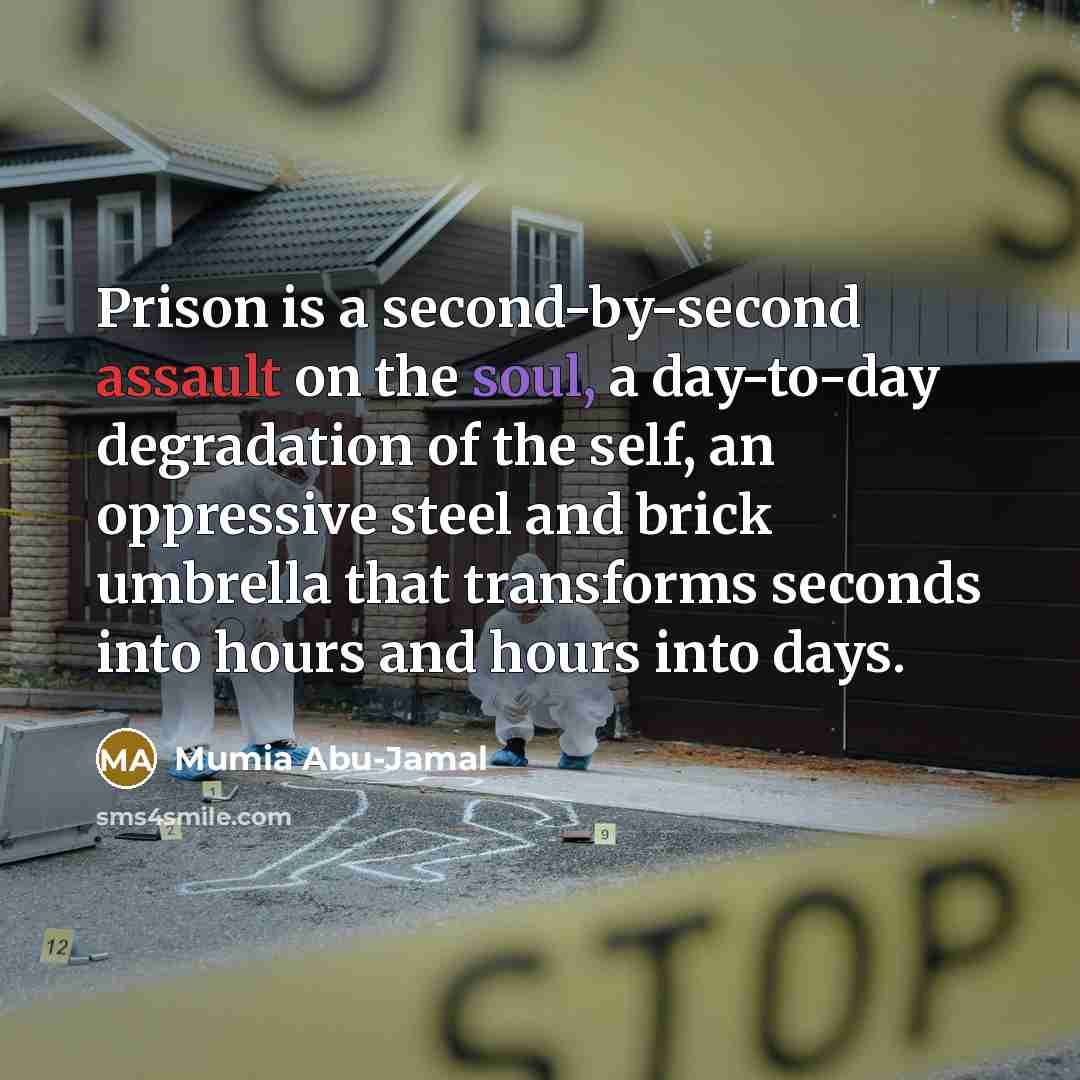 “Prison is a second-by-second assault on the soul, a day-to-day degradation of the self, an oppressive steel and brick umbrella that transforms seconds into hours and hours into days.” quote by Mumia Abu-Jamal