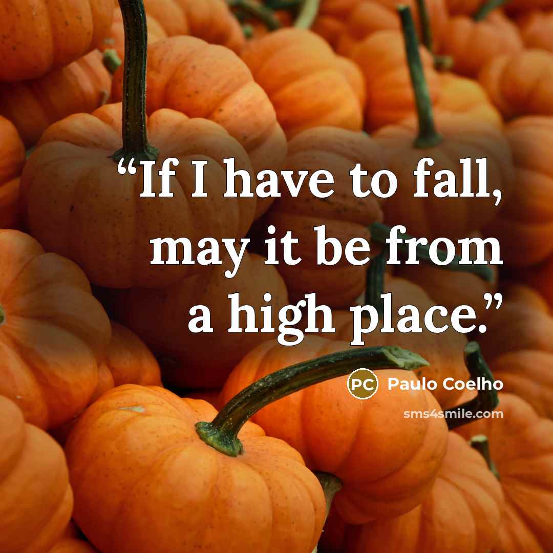 “If I have to fall, may it be from a high place.” quote by Paulo Coelho