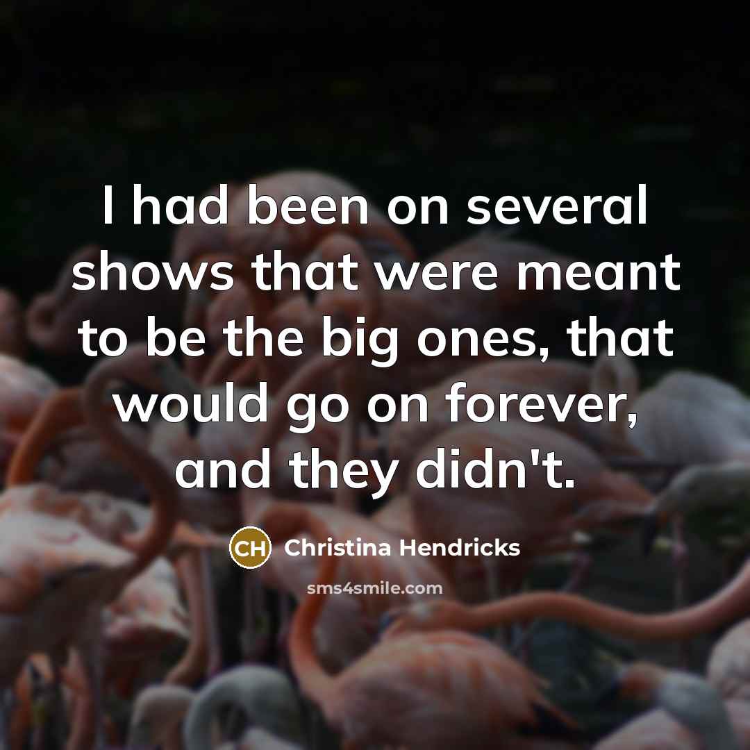 “I had been on several shows that were meant to be the big ones, that would go on forever, and they didn't.” quote by Christina Hendricks