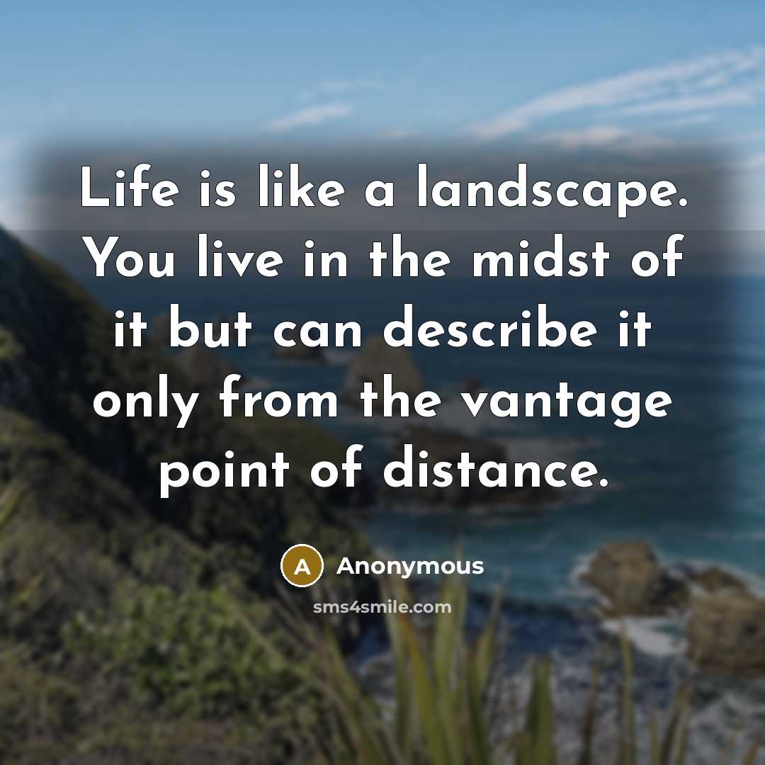 “Life is like a landscape. You live in the midst of it but can describe it only from the vantage point of distance.” quote by Anonymous
