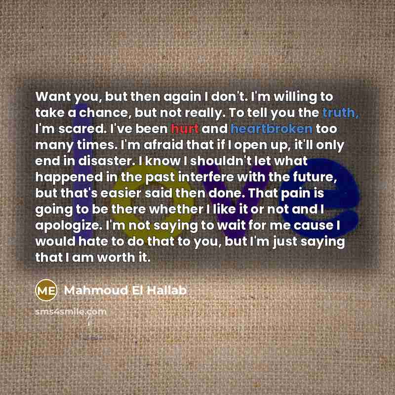 “Want you, but then again I don't. I'm willing to take a chance, but not really. To tell you the truth, I'm scared. I've been hurt and heartbroken too many times. I'm afraid that if I open up, it'll only end in disaster. I know I shouldn't let what happened in the past interfere with the future…” quote by Mahmoud El Hallab