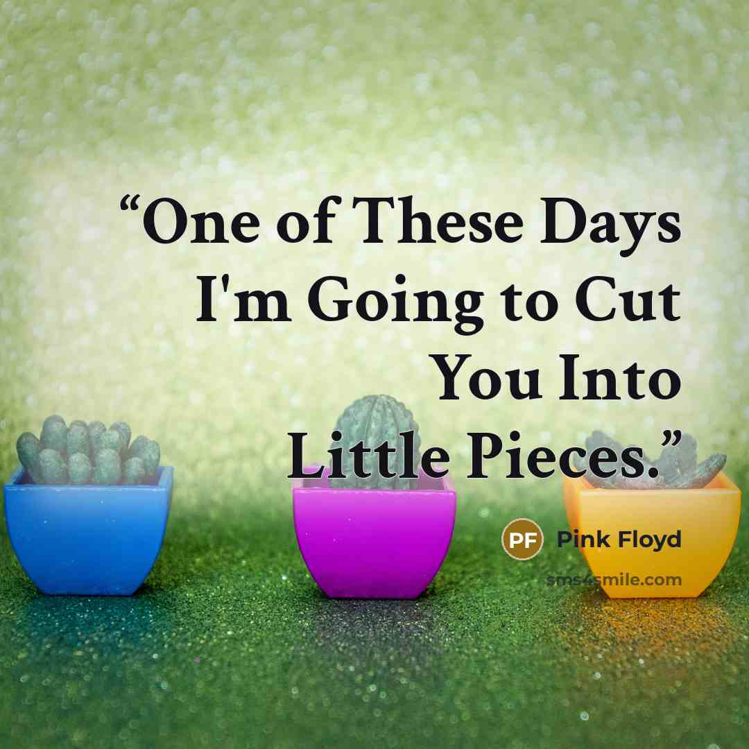 “One of These Days I'm Going to Cut You Into Little Pieces.” quote by Pink Floyd