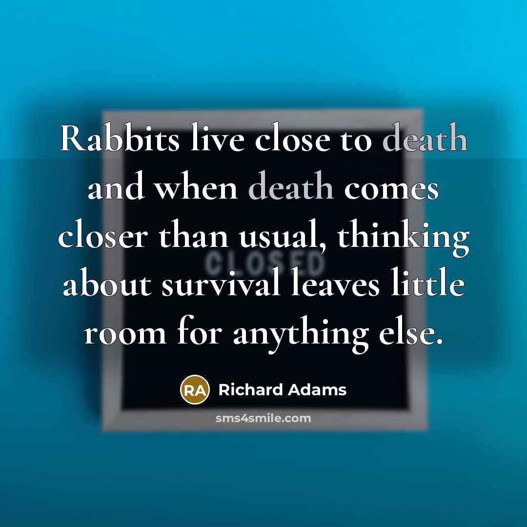 “Rabbits live close to death and when death comes closer than usual, thinking about survival leaves little room for anything else.” quote by Richard Adams