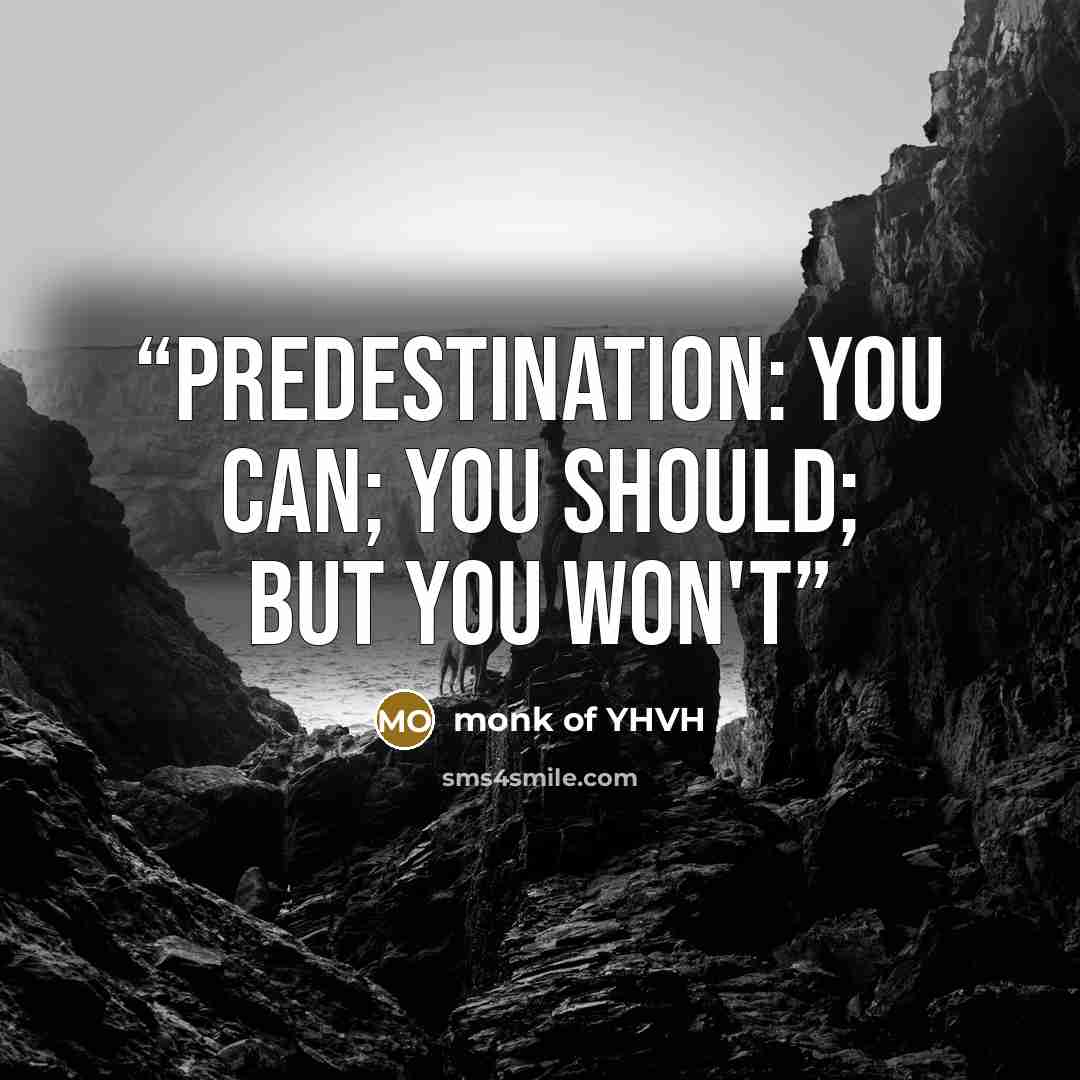 “Predestination: You Can; You Should; But You Won't” quote by monk of YHVH