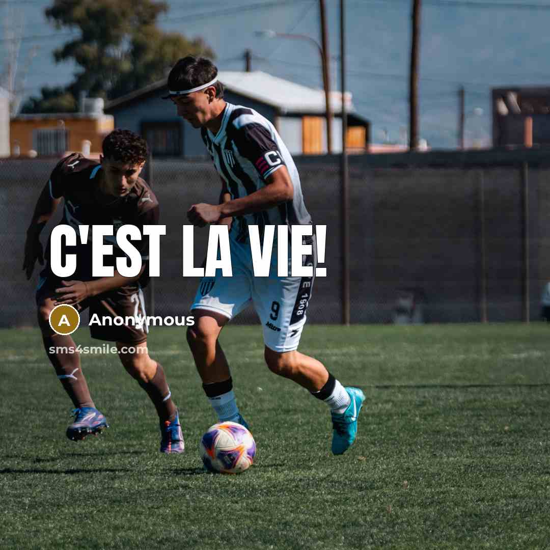 “C'est la vie!” quote by Anonymous