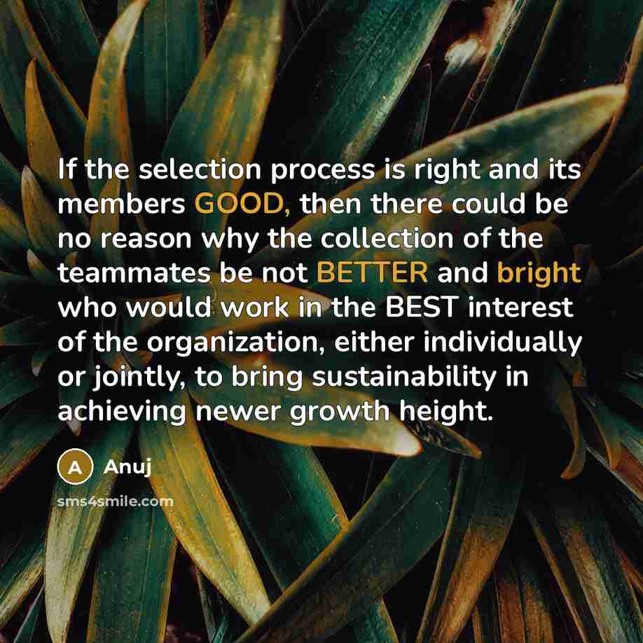 “If the selection process is right and its members GOOD, then there could be no reason why the collection of the teammates be not BETTER and bright who would work in the BEST interest of the organization, either individually or jointly, to bring sustainability in achieving newer growth height.” quote by Anuj