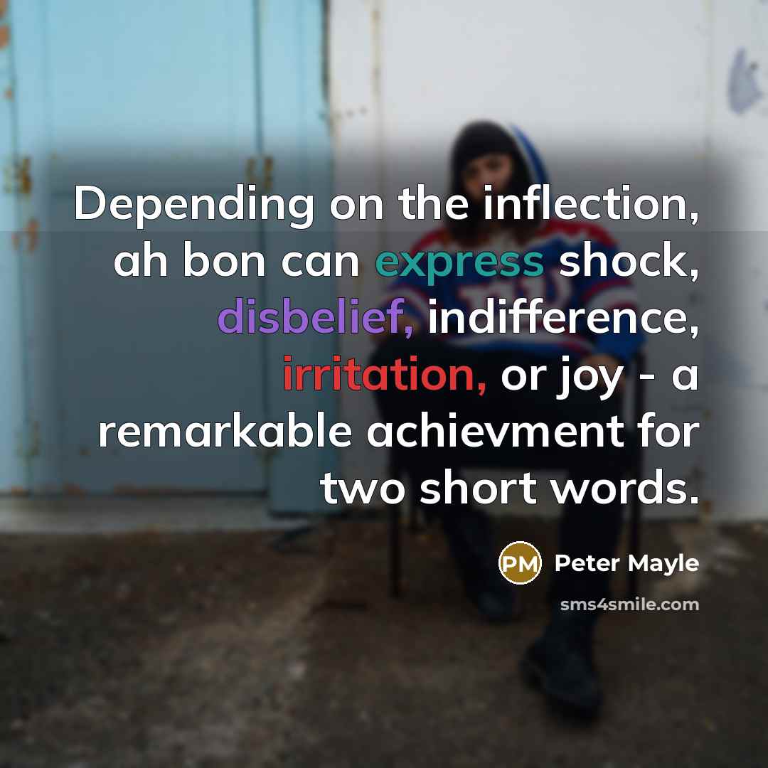 “Depending on the inflection, ah bon can express shock, disbelief, indifference, irritation, or joy - a remarkable achievment for two short words.” quote by Peter Mayle