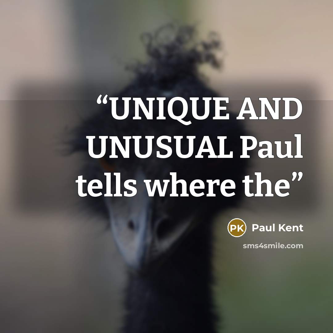 “UNIQUE AND UNUSUAL Paul tells where the” quote by Paul Kent