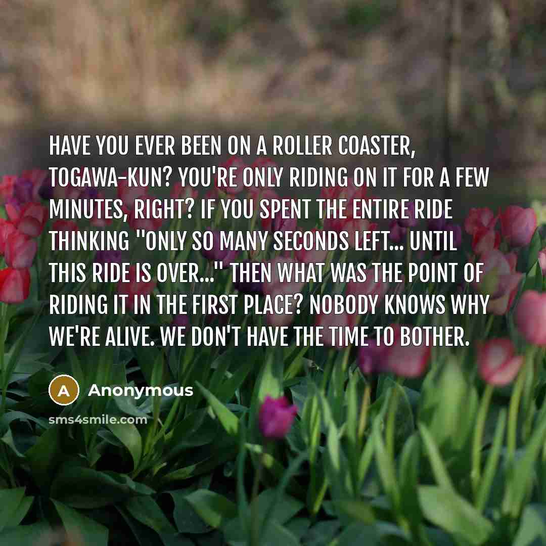 “Have you ever been on a roller coaster, Togawa-kun? You're only riding on it for a few minutes, right? If you spent the entire ride thinking "only so many seconds left... until this ride is over..." then what was the point of riding it in the first place? Nobody knows why we're alive. We don't…” quote by Anonymous