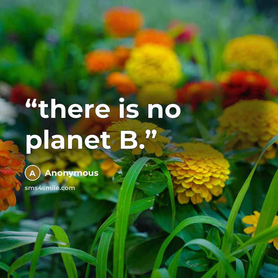 “there is no planet B.” quote by Anonymous