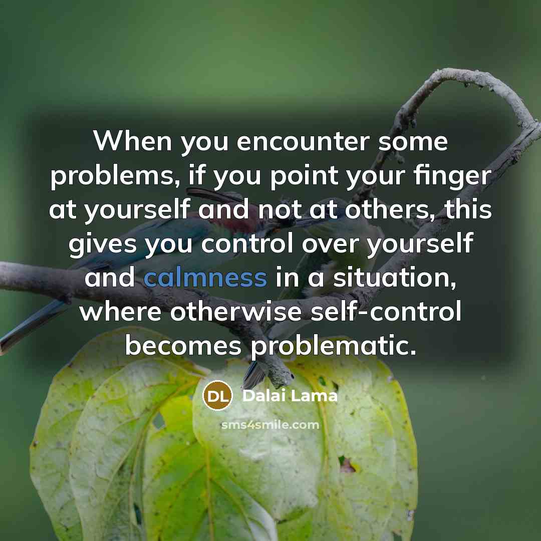 “When you encounter some problems, if you point your finger at yourself and not at others, this gives you control over yourself and calmness in a situation, where otherwise self-control becomes problematic.” quote by Dalai Lama