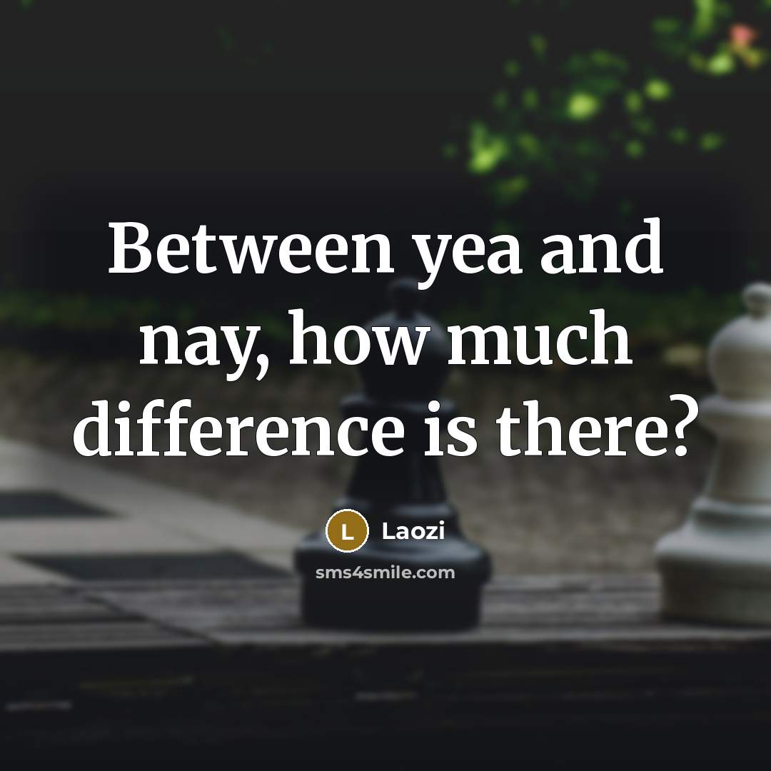 “Between yea and nay, how much difference is there?” quote by Laozi