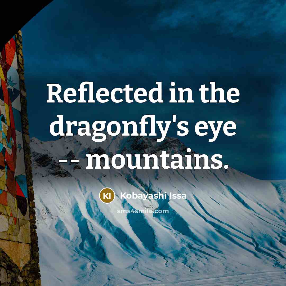 “Reflected in the dragonfly's eye -- mountains.” quote by Kobayashi Issa
