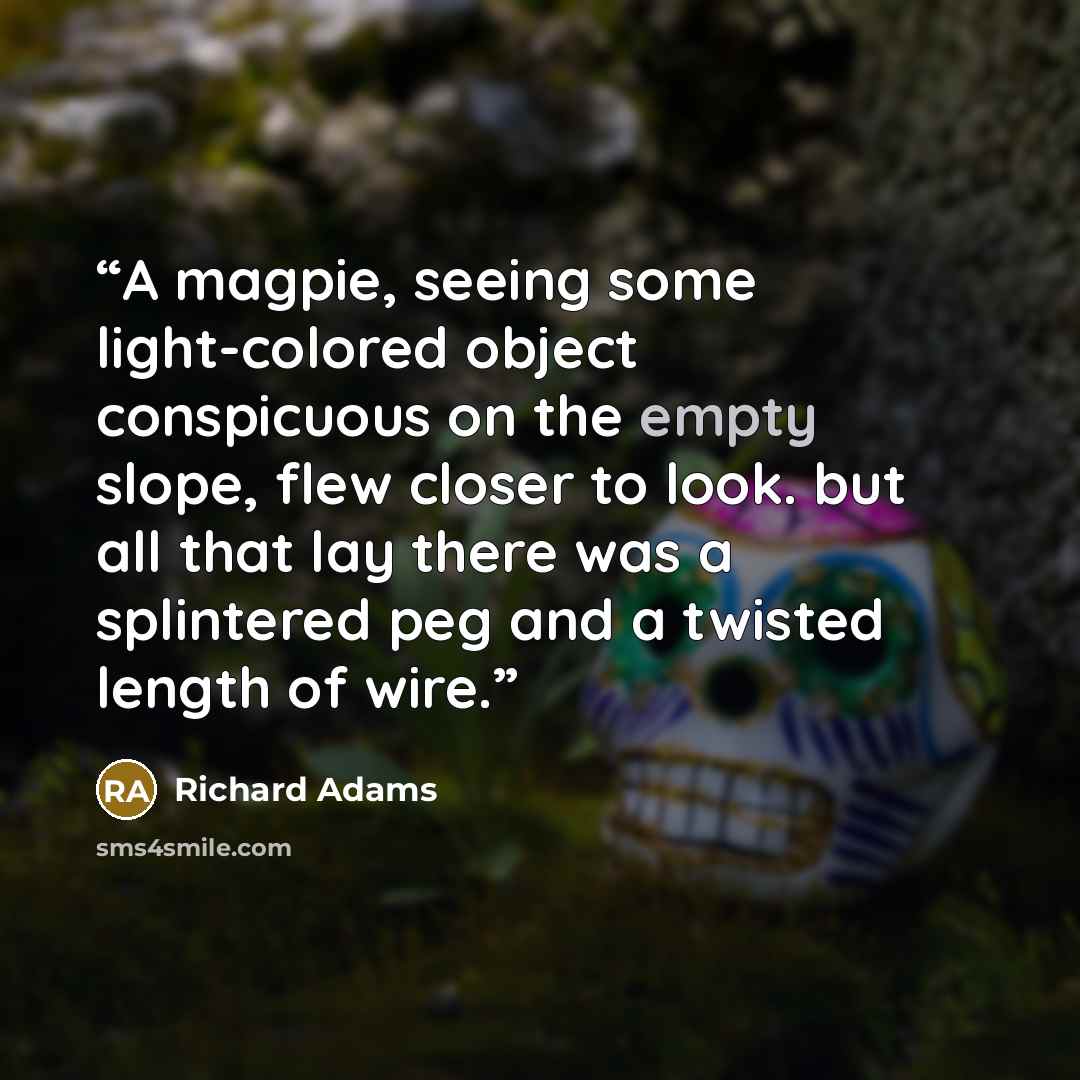“A magpie, seeing some light-colored object conspicuous on the empty slope, flew closer to look. but all that lay there was a splintered peg and a twisted length of wire.” quote by Richard Adams
