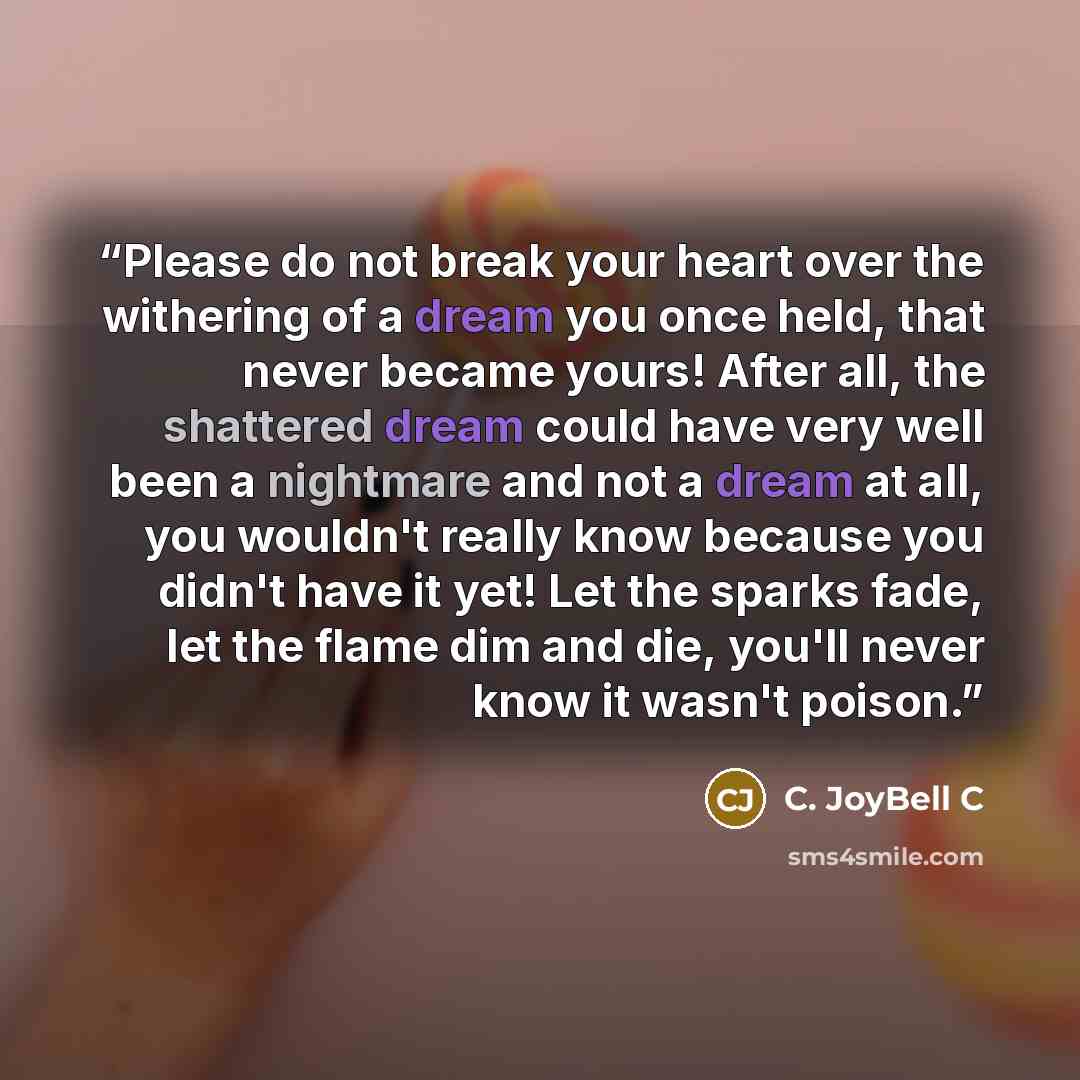 “Please do not break your heart over the withering of a dream you once held, that never became yours! After all, the shattered dream could have very well been a nightmare and not a dream at all, you wouldn't really know because you didn't have it yet! Let the sparks fade, let the flame dim and die…” quote by C. JoyBell C