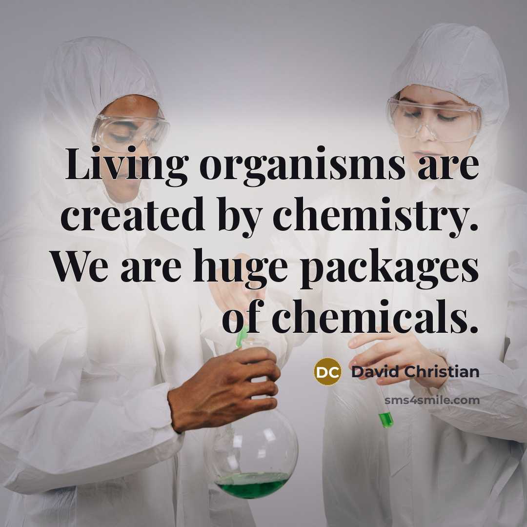 “Living organisms are created by chemistry. We are huge packages of chemicals.” quote by David Christian