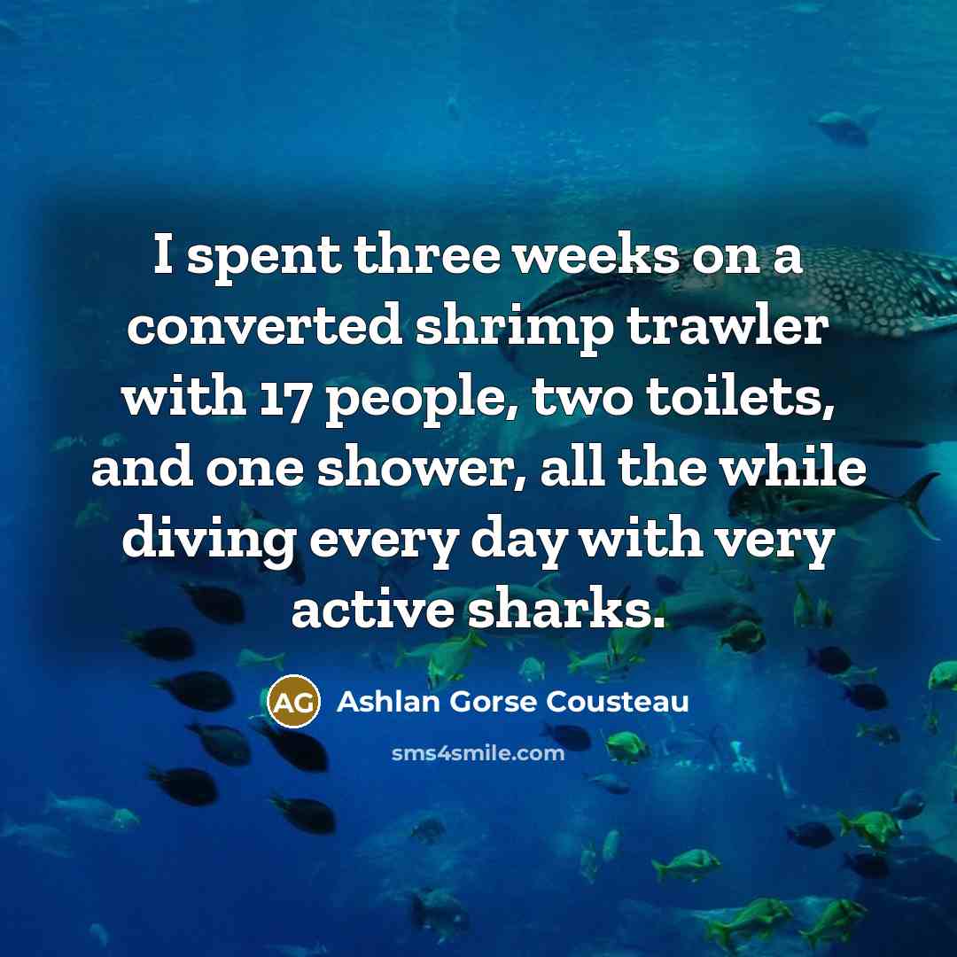 “I spent three weeks on a converted shrimp trawler with 17 people, two toilets, and one shower, all the while diving every day with very active sharks.” quote by Ashlan Gorse Cousteau