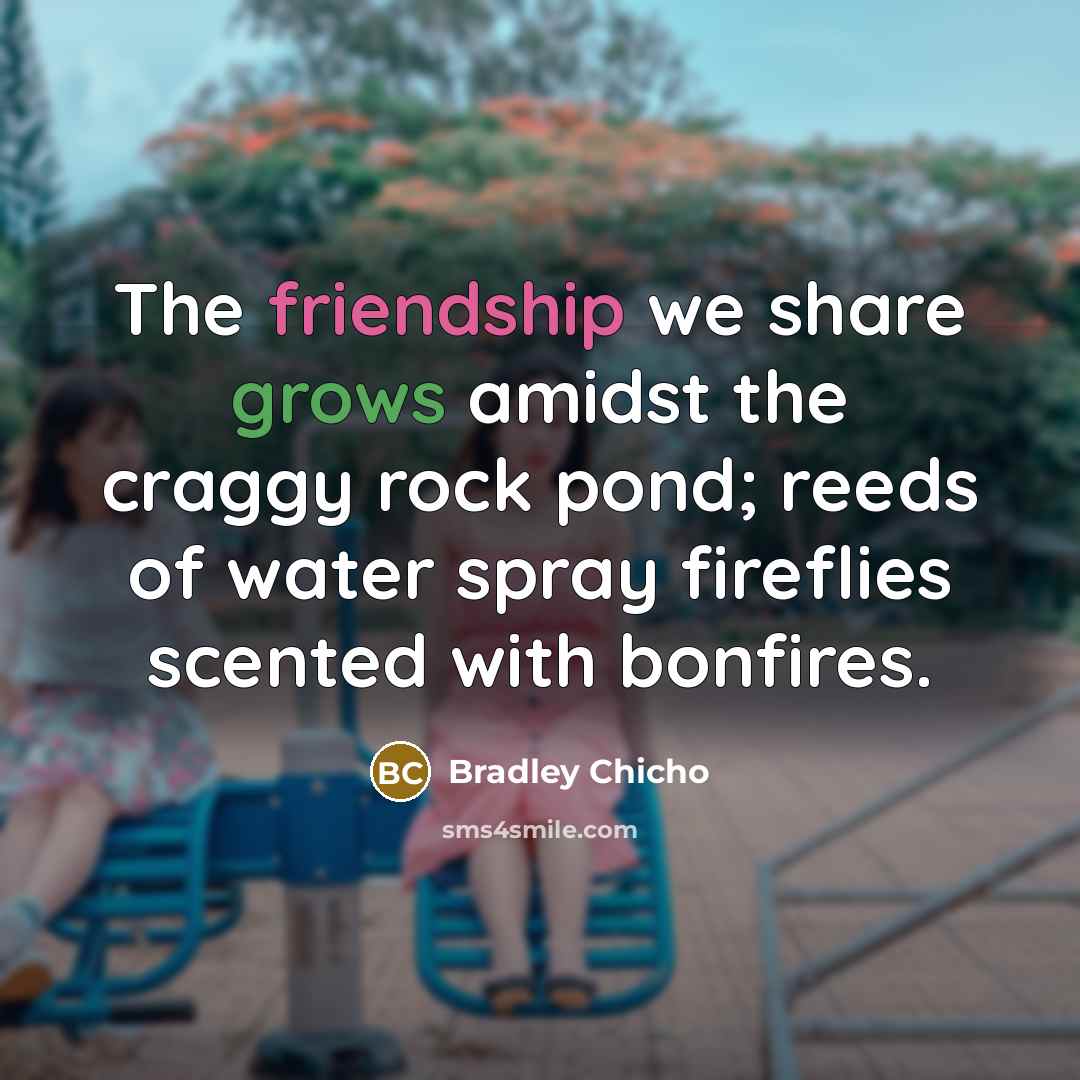“The friendship we share grows amidst the craggy rock pond; reeds of water spray fireflies scented with bonfires.” quote by Bradley Chicho